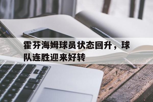 万博-霍芬海姆球员状态回升，球队连胜迎来好转